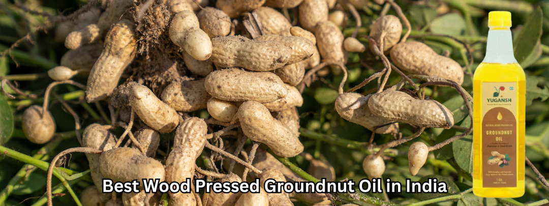 Best Wood Pressed Groundnut Oil in India – Benefits, Uses & Buying Guide